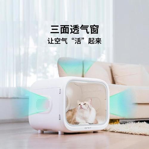 小佩宠物烘干机怎么样？宠物护理新选择与高效体验